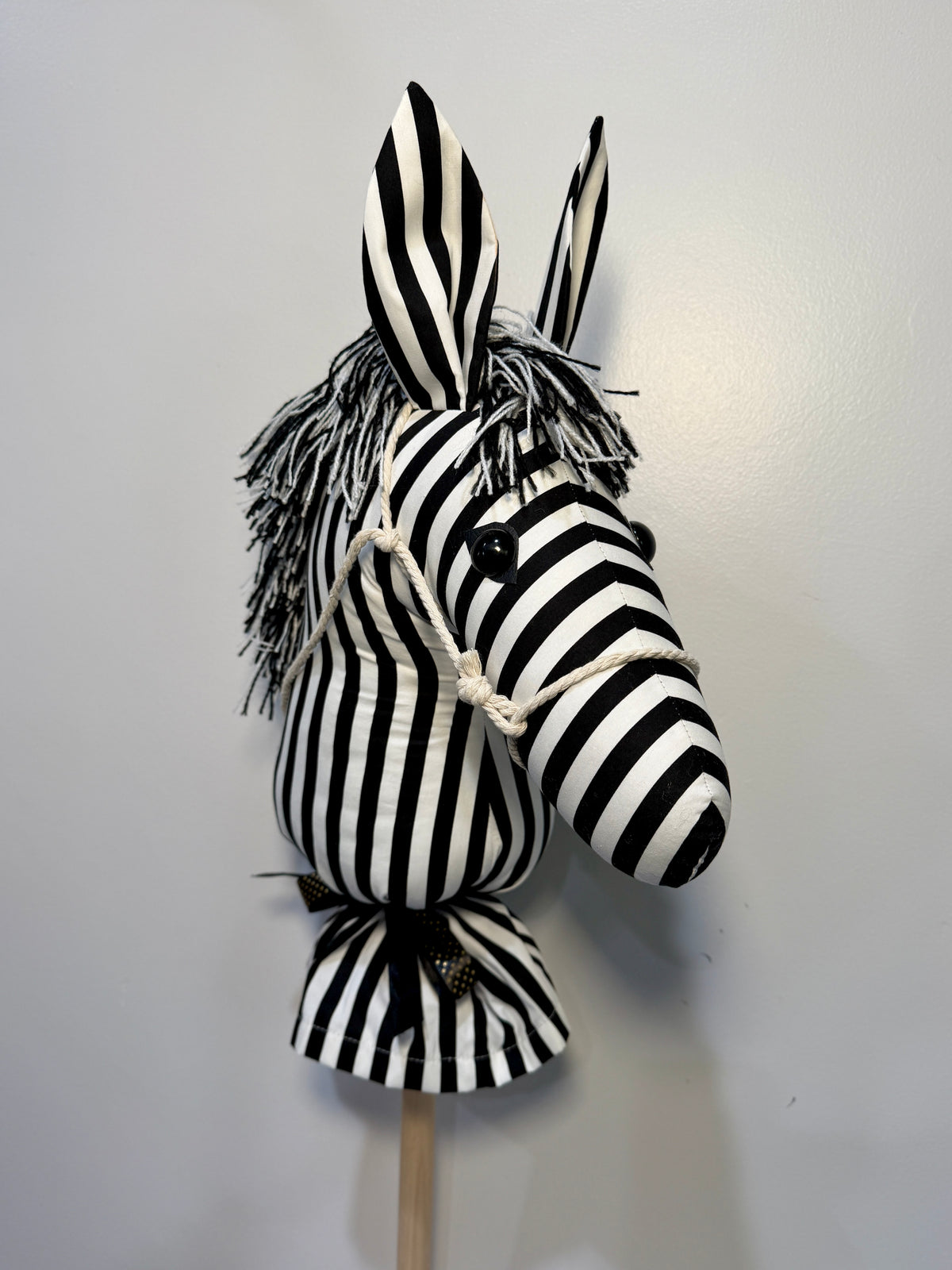 Hobby Horse - Ziggy