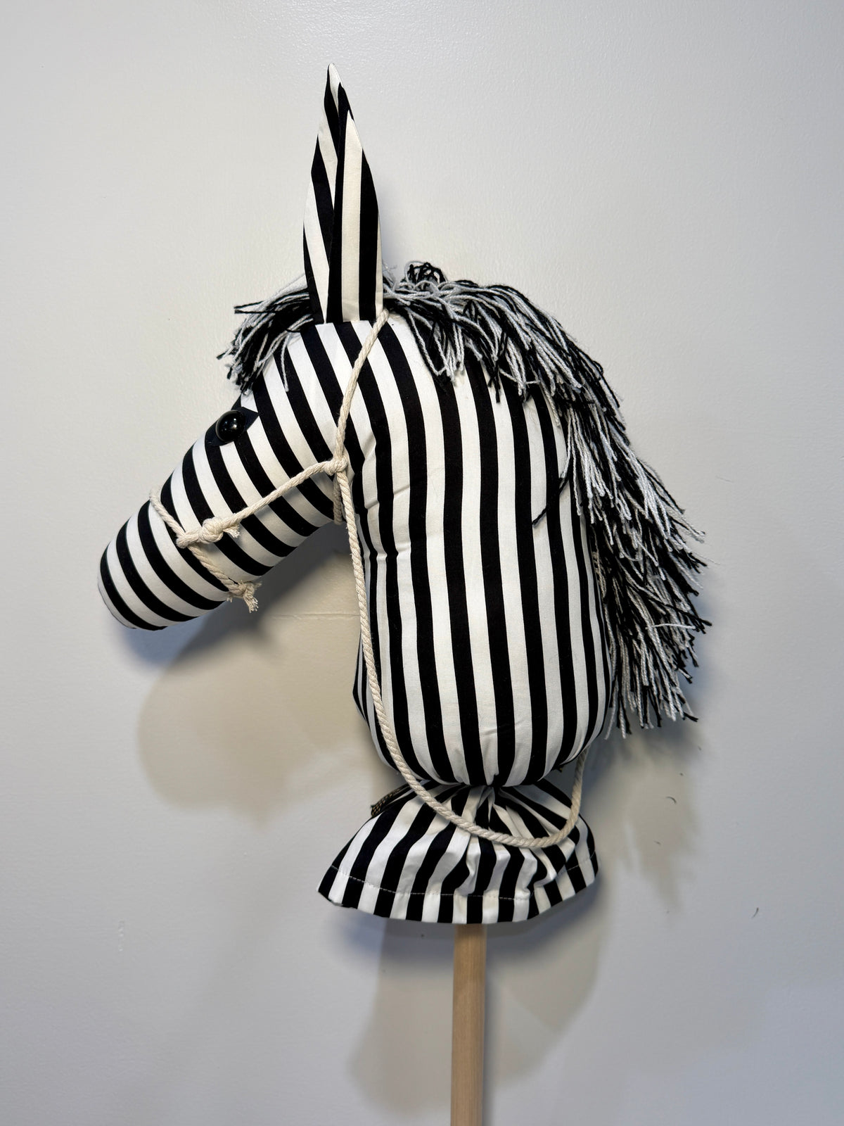 Hobby Horse - Ziggy