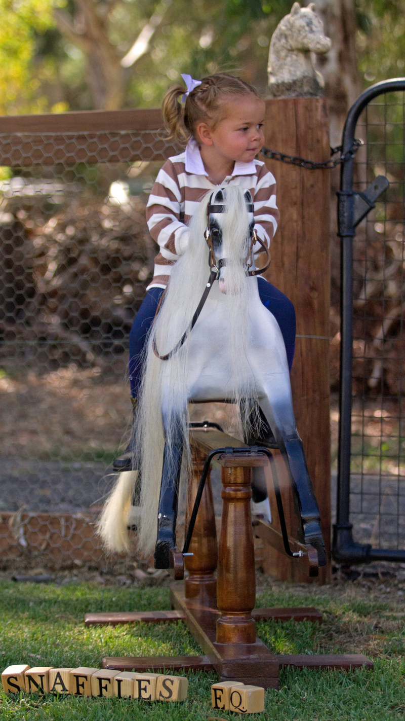 Snaffles Eq. Wilkie Rugby Jumper